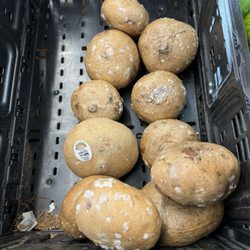 Walmart Neighborhood Market - Moldy