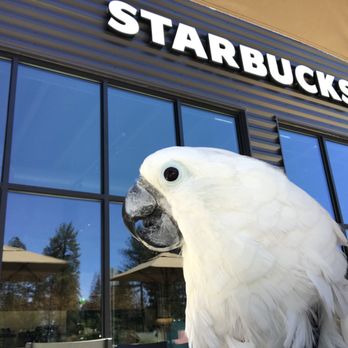 Starbucks - Coffee & Tea Near Me - Paradise, California