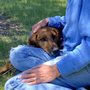 Photo of Mobile Cat & Dog Vet