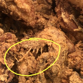Albertsons - Feathers cooked in the chicken. This photo is in store at the deli. - Grocery Near Me - San Dimas, California Albertsons - Feathers cooked in the chicken. This photo is in store at the deli. - Grocery Near Me - San Dimas, California