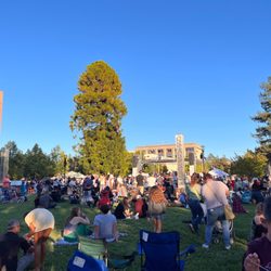 Wednesday Night Market Old Courthouse Square
