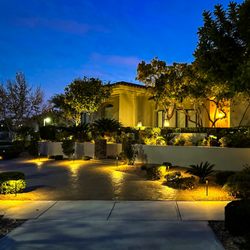 Green America Tree & Landscaping