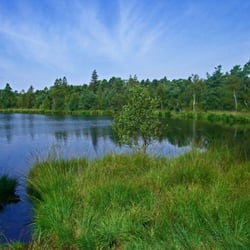 Grundloser See