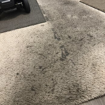 Brothers Carpet Cleaning - Before FRANK THE CARPET EXPERT! - Carpet Cleaning Near Me Brothers Carpet Cleaning - Before FRANK THE CARPET EXPERT! - Carpet Cleaning Near Me