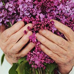 Heart For Seniors Home Healthcare - The beauty of aging with dignity in the comfort of one's own home