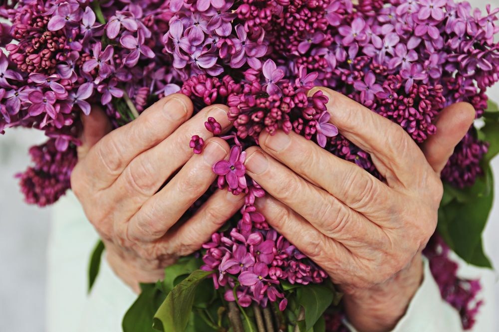 Heart For Seniors Home Healthcare - home care agency in Broken Arrow, OK