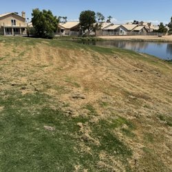 Ahwatukee Golf Club - Hay field part 2
