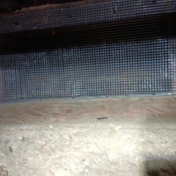 Rodent Control - Pest Control Near Me - Los Angeles, California Rodent Control - Pest Control Near Me - Los Angeles, California