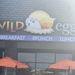 Wild Eggs