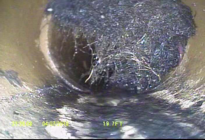 Slide of Broad Sewer And Numerous Service