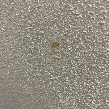 Econo Lodge Fallon Naval Air Station Area - Stain on wall - Hotels Near Me - Fallon, Nevada Econo Lodge Fallon Naval Air Station Area - Stain on wall - Hotels Near Me - Fallon, Nevada