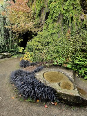Kubota Garden by null