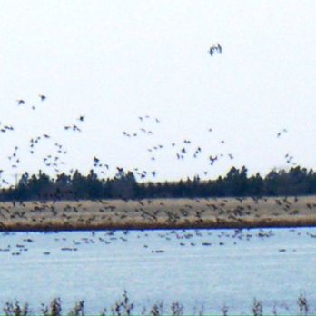 Harvard Waterfowl Production Area - Parks Near Me - Funk, Nebraska