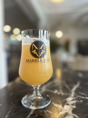 Marble Fox Brewing Company by null
