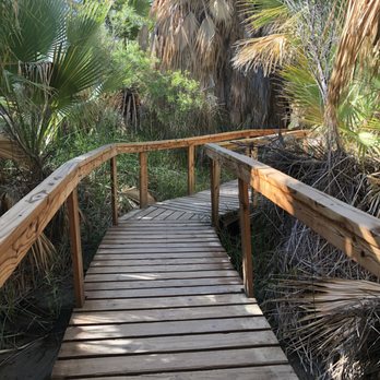Coachella Valley Preserve - Boardwalk in Thousand Palm Oasis - Hiking Near Me - Thousand Palms, California Coachella Valley Preserve - Boardwalk in Thousand Palm Oasis - Hiking Near Me - Thousand Palms, California