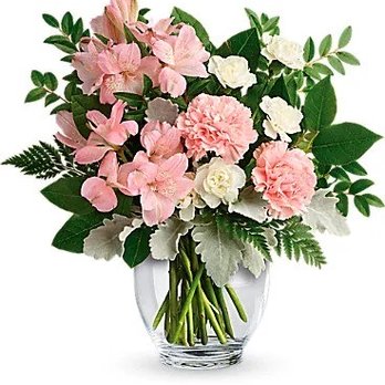 Buds...and Blossoms,Too - This is what the website displayed. - Florists Near Me - Richland, Washington Buds...and Blossoms,Too - This is what the website displayed. - Florists Near Me - Richland, Washington