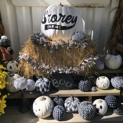 Storey Farms Market - Halloween