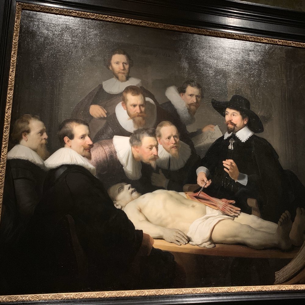 Mauritshuis - Museums Near Me - Den Haag, ZH Mauritshuis - Museums Near Me - Den Haag, ZH