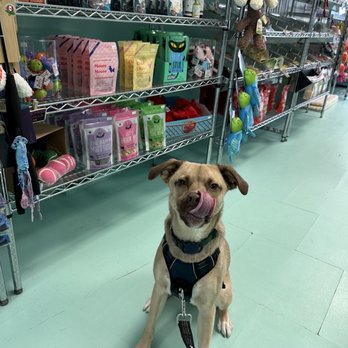 Salty Paws Pittsburgh - Pet Stores Near Me - Pittsburgh, Pennsylvania