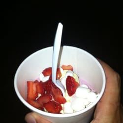 Yogurt Plus