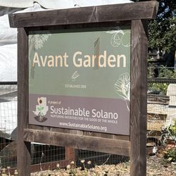 Avant Garden