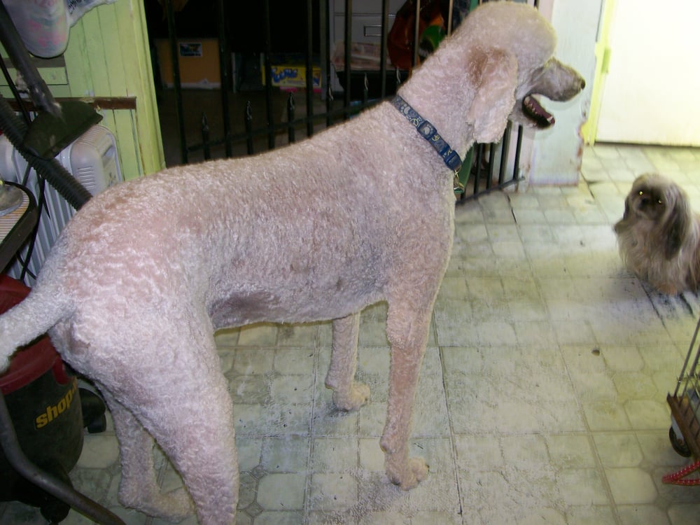 LOVING CARE GROOMING Updated September 2024 22635 W State Route 71