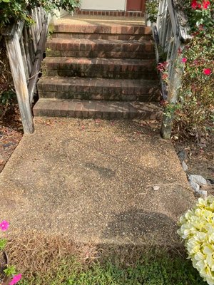 Blown Away Power Washing and Driveway Sealing by null