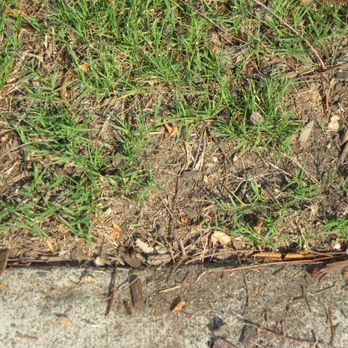 Ting Internet - still dirt, no grass - Internet Service Providers Near Me Ting Internet - still dirt, no grass - Internet Service Providers Near Me