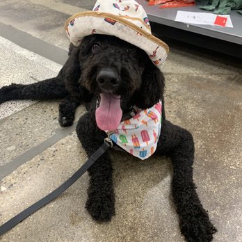 PetSmart - Pet Stores Near Me - Skokie, Illinois