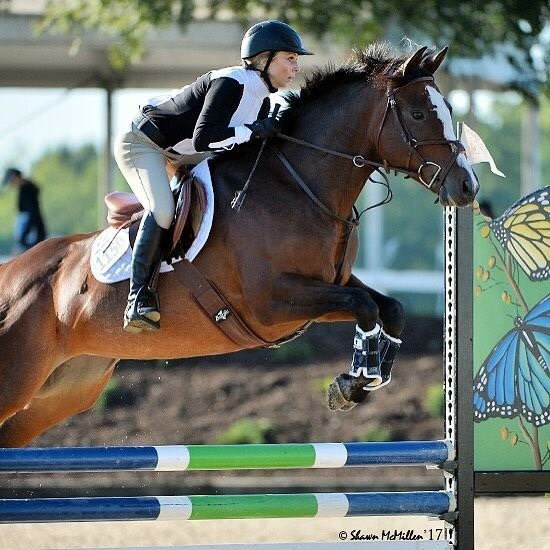 Razor Creek Stables - equestrian in Louisville, KY
