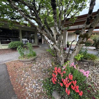 Frontier Rehabilitation and Extended Care - Entrance - Rehabilitation Center Near Me - Longview, Washington Frontier Rehabilitation and Extended Care - Entrance - Rehabilitation Center Near Me - Longview, Washington