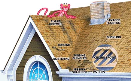 Slide of Dynamic Construction & Roofing