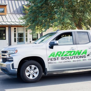 Arizona Termite & Pest Solutions - We offer pest control services, termite estimates, scorpion control and more. We specialize in being a termite control in Gilbert, AZ. - Pest Control Near Me Arizona Termite & Pest Solutions - We offer pest control services, termite estimates, scorpion control and more. We specialize in being a termite control in Gilbert, AZ. - Pest Control Near Me