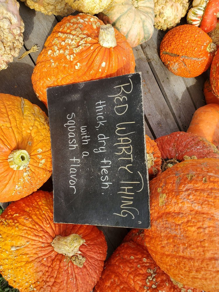 BLACKMAN HOMESTEAD FARM Updated September 2024 97 Photos & 31