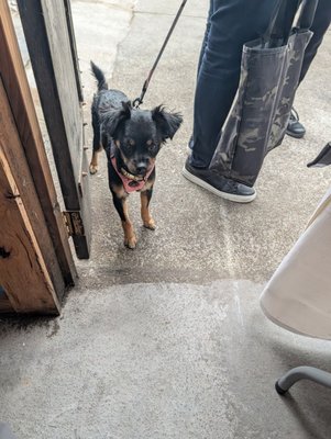 NORIA Winery by null