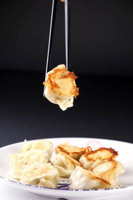 Qing Hua Dumpling - (Maisonneuve) by null