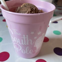The South Pole - Two scoops in a logo cup