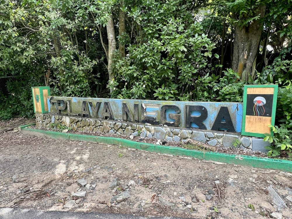 Black Sand Beach Image