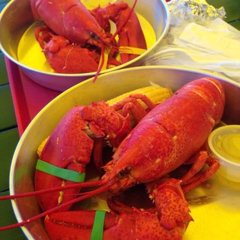 Thurston's Lobster Pound - 2 chicks - Seafood Near Me - Bernard, Maine