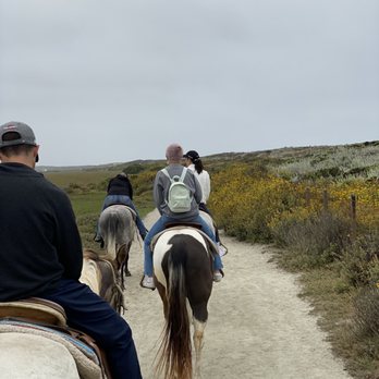 Monterey Bay Equestrian Center - Trial ride - Horseback Riding Near Me - Castroville, California Monterey Bay Equestrian Center - Trial ride - Horseback Riding Near Me - Castroville, California