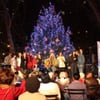 Lincoln Square Winters Eve gift card