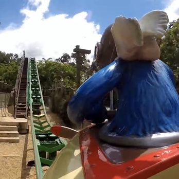 Air Grover Rollercoaster - Air Grover Kids Rollercoaster, Busch Gardens Theme Park, Tampa - Amusement Parks Near Me - Tampa, Florida Air Grover Rollercoaster - Air Grover Kids Rollercoaster, Busch Gardens Theme Park, Tampa - Amusement Parks Near Me - Tampa, Florida
