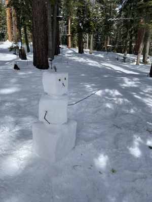 Granlibakken Tahoe by null