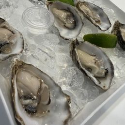 Oysters