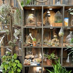 Back to Nature Home & Garden