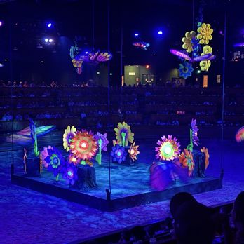 Dolly Parton's Stampede - Life's like a BUTTERFLY!! - Performing Arts Near Me - Pigeon Forge, Tennessee