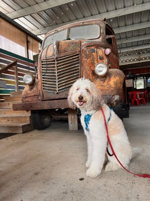 Prejean's Restaurant Broussard by null