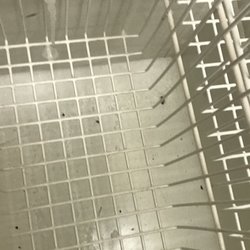 Bottom view of the freezer