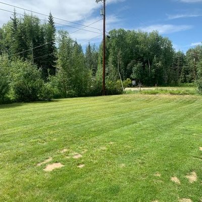 Landscaping/Lawns - Free Estimates Text or Message us here on Yelp!