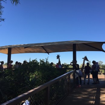 Phoenix Zoo - giraffe feeding platform - Zoos Near Me - Phoenix, Arizona